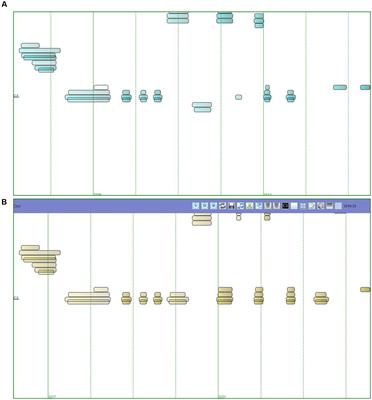 Child–Computer Interaction at the Beginner Stage of Music Learning: Effects of Reflexive Interaction on Children’s Musical Improvisation